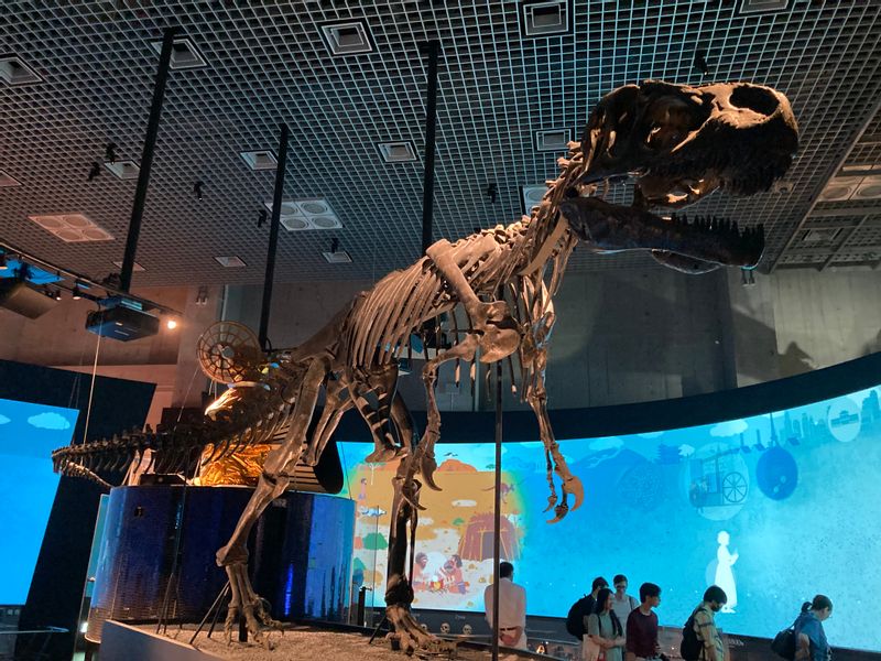 Tokyo Private Tour - dinosaur skeleton model of National museum of nature and science at Ueno