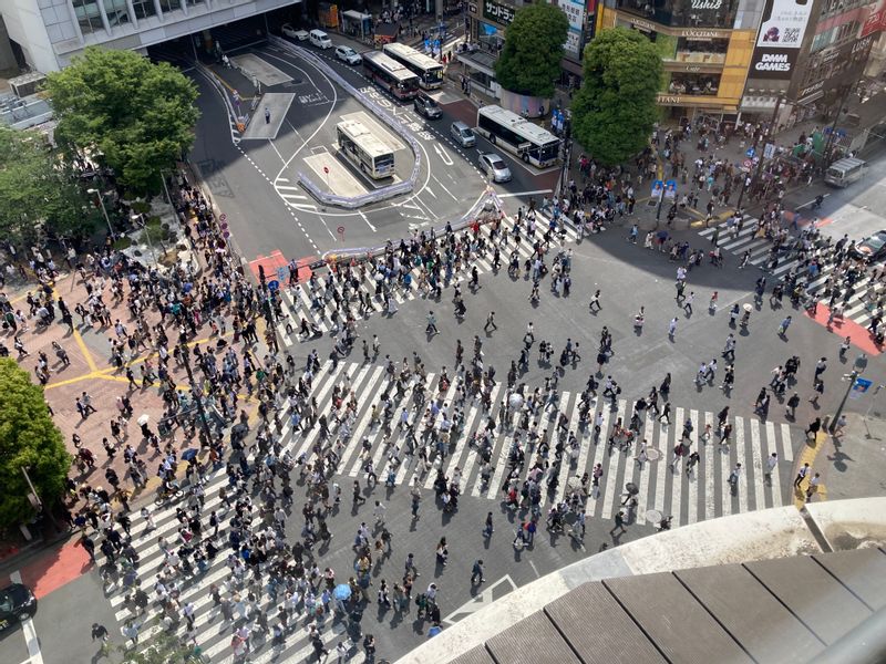 Tokyo Private Tour - Shibuya crossing from nearby observation deck