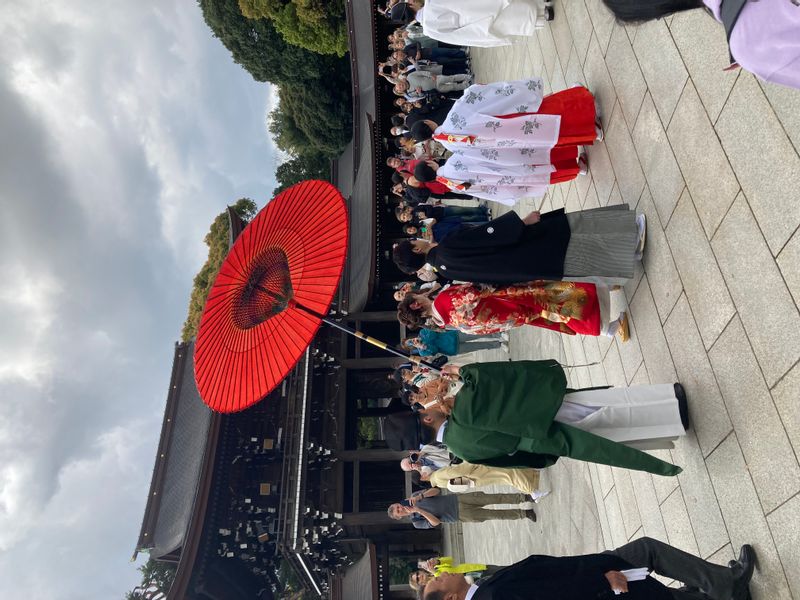 Tokyo Private Tour - Japanese wedding ceremony at Meiji Jingu shrine