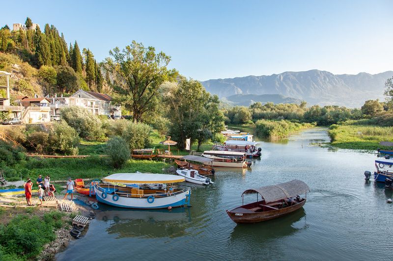 Kotor Private Tour - null