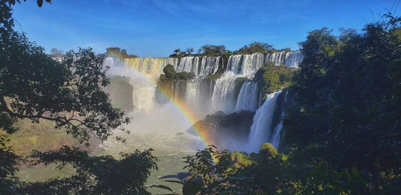 Iguazu Falls (Brazil) Private Tour - null