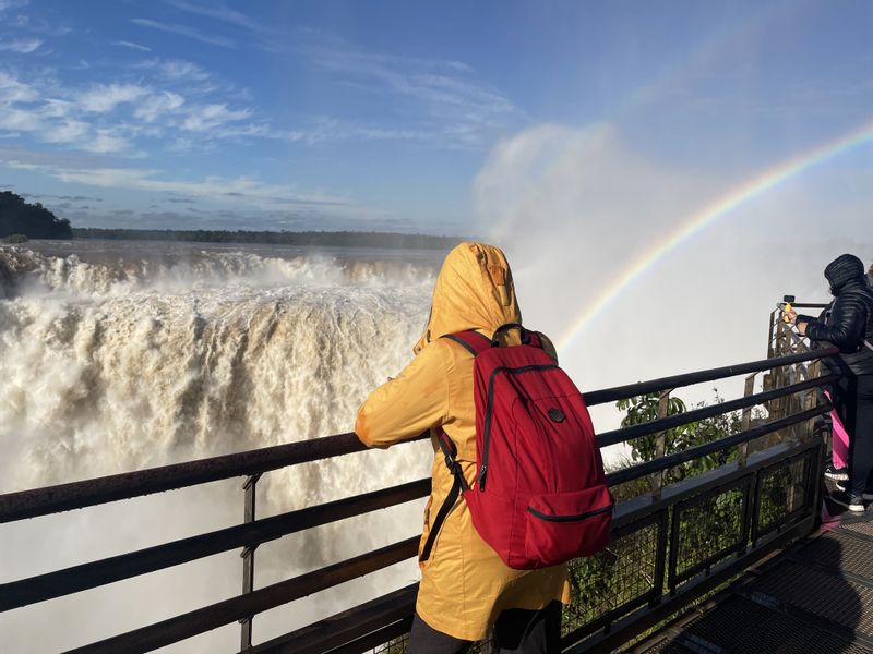 Iguazu Falls (Brazil) Private Tour - null