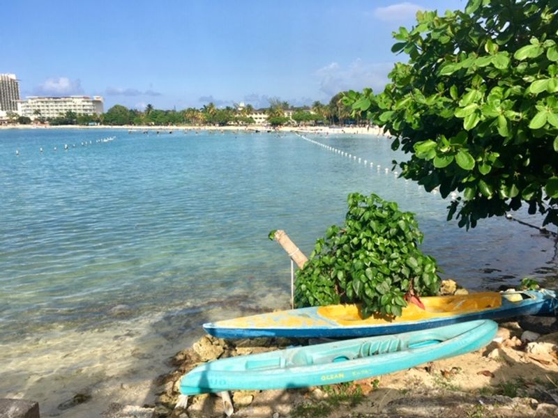 Ocho Rios Private Tour - A view of the ocean.