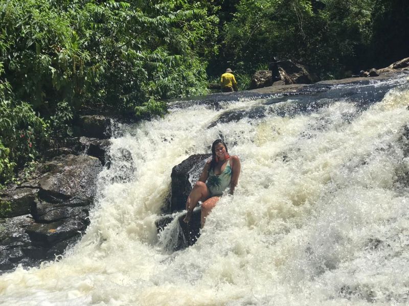 Iguazu Falls (Brazil) Private Tour - null