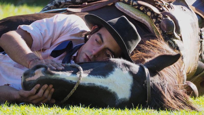 Buenos Aires Private Tour - Gauchos and Horses