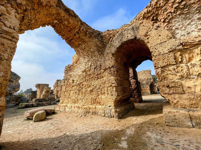 Tunis Private Tour - Carthage