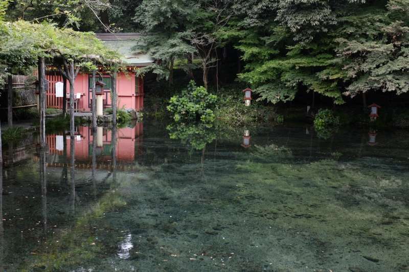 Shimizu Private Tour - Designated as a "Special Natural Monument" of the nation, Wakutama Pond is located in the precinct of Fujisan Hongu Sengen Taisha Shrine.