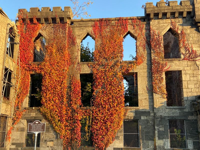 New York Private Tour - Smallpox Hospital Ruins on Roosevelt Island