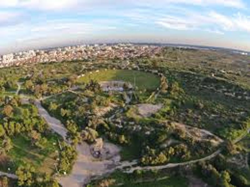 HaDarom Private Tour - Overview of the park