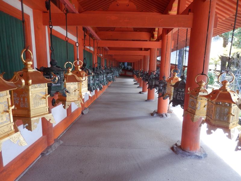 Nara Private Tour - Kasuga-shrine has a lot of stone lanterns and hanging lanterns. In the past they enabled people to come to the shrine even in the night.