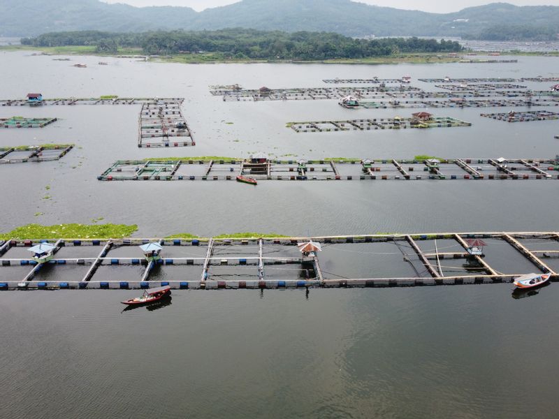 West Java Private Tour - Take a boat ride around the dam, sample freshly caught fresh fish, and immerse yourself in the vibrant arts and crafts scene of Cianjur. There's no shortage of natural wonders to explore in this hidden gem of West Java.