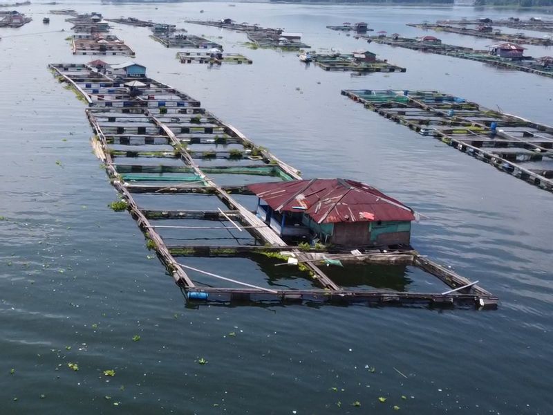 West Java Private Tour - Staying in a Floating House
Staying in a floating house is the perfect way to connect with nature and experience the rich cultural heritage of Cianjur. Whether you're traveling solo, with friends or family, or as part of an organized tour, this activity is sure to leave a lasting impression.