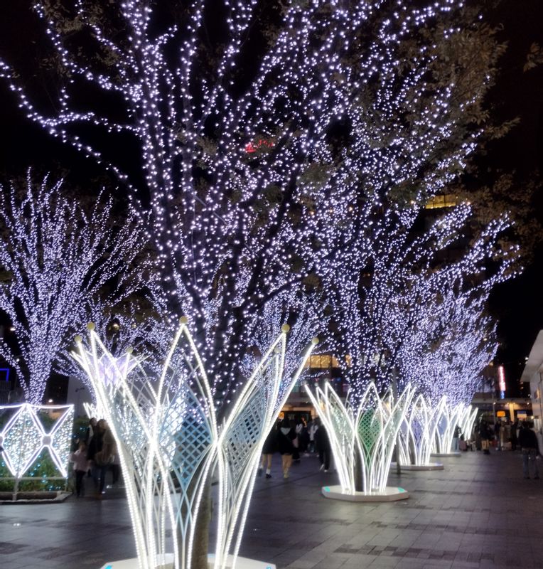 Fukuoka Private Tour - Christmas season