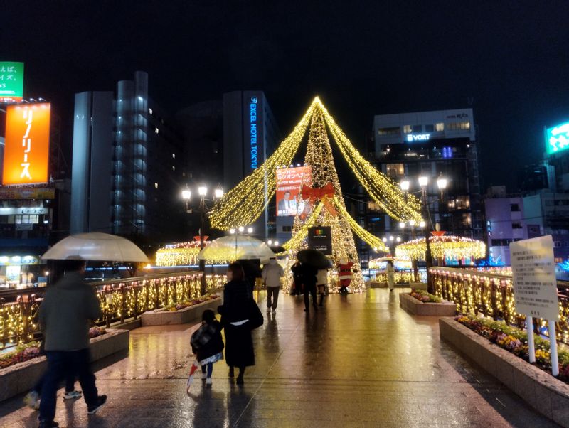 Fukuoka Private Tour - Christmas season