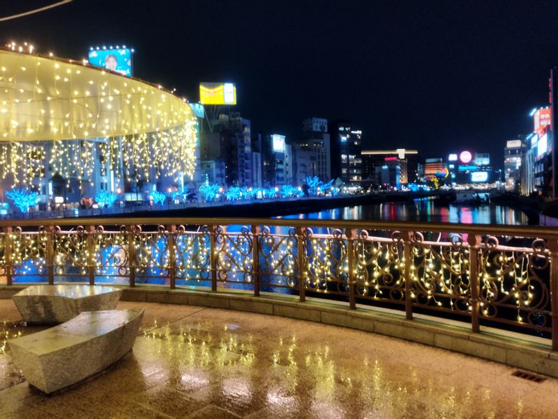 Fukuoka Private Tour - Christmas season