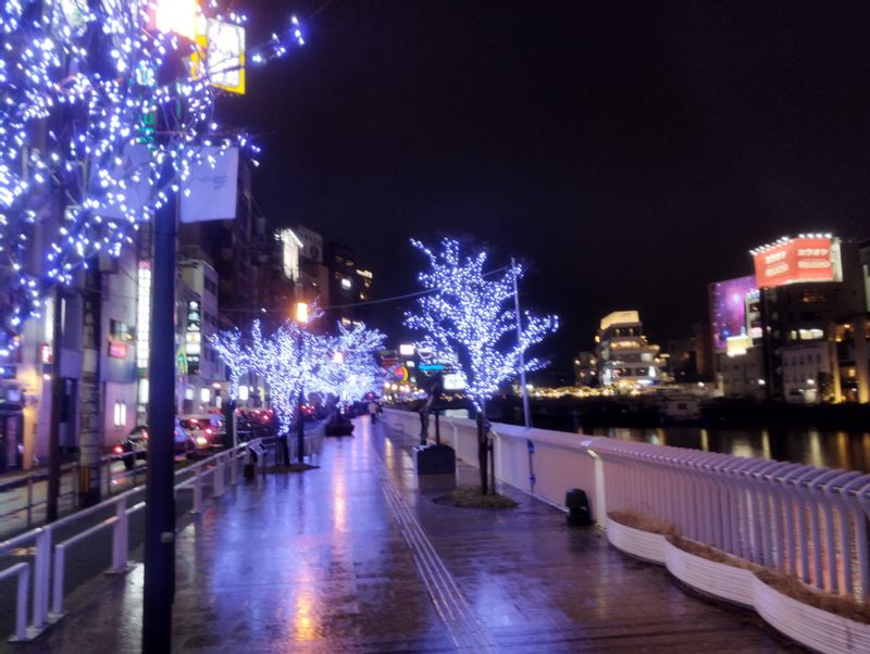 Fukuoka Private Tour - Christmas season