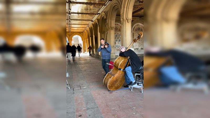 New York Private Tour - Bethesda Terrace