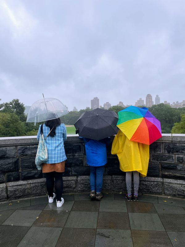 New York Private Tour - Rain or Shine