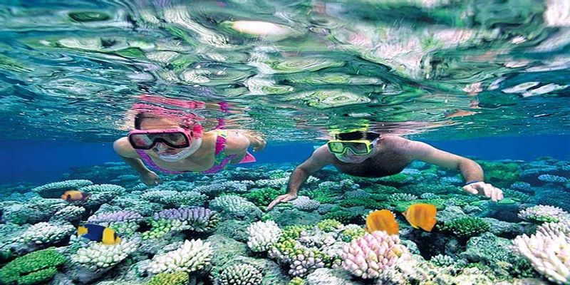 Nha Trang Private Tour - Snorkelling