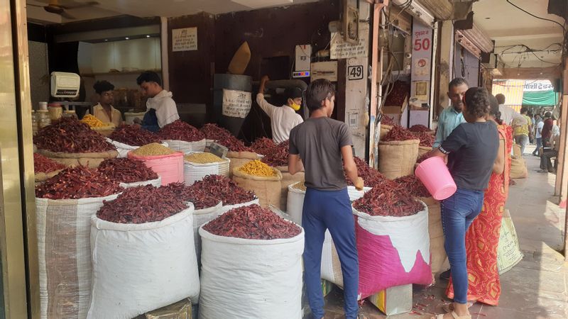 Udaipur Private Tour - Spice market visit.