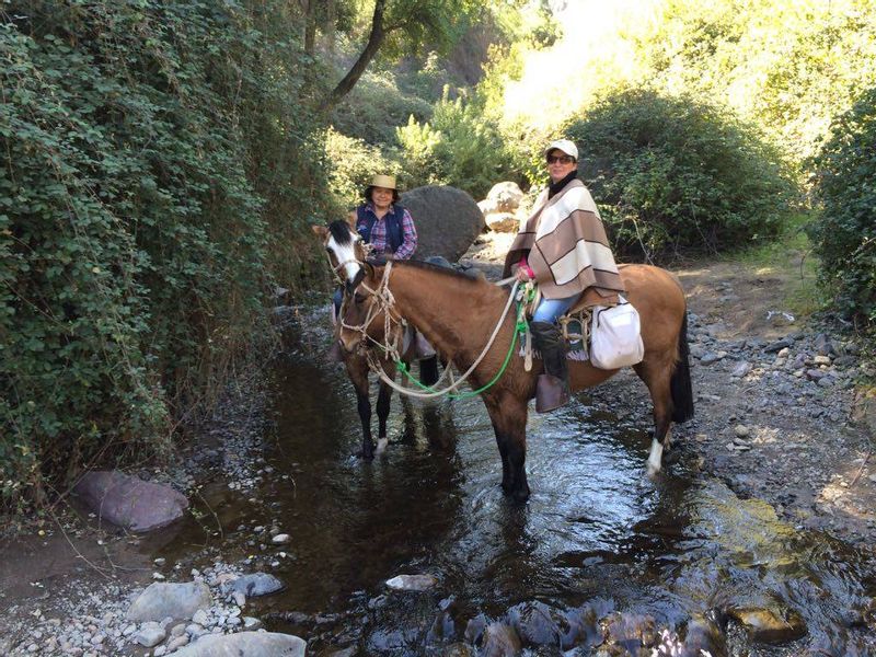 Santiago Private Tour - Water break for our horses