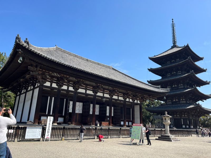 Nara Private Tour - Le Temple du Kohukuji