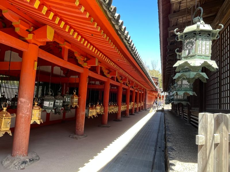 Nara Private Tour - Le Grand Sanctuaire de Kasuga