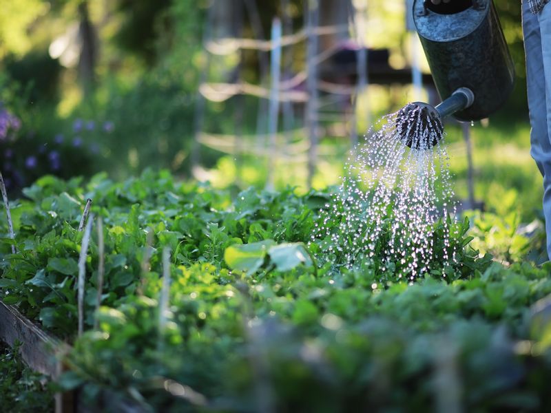 West Java Private Tour - Watering 