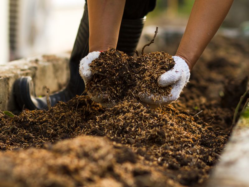 West Java Private Tour - Composting 