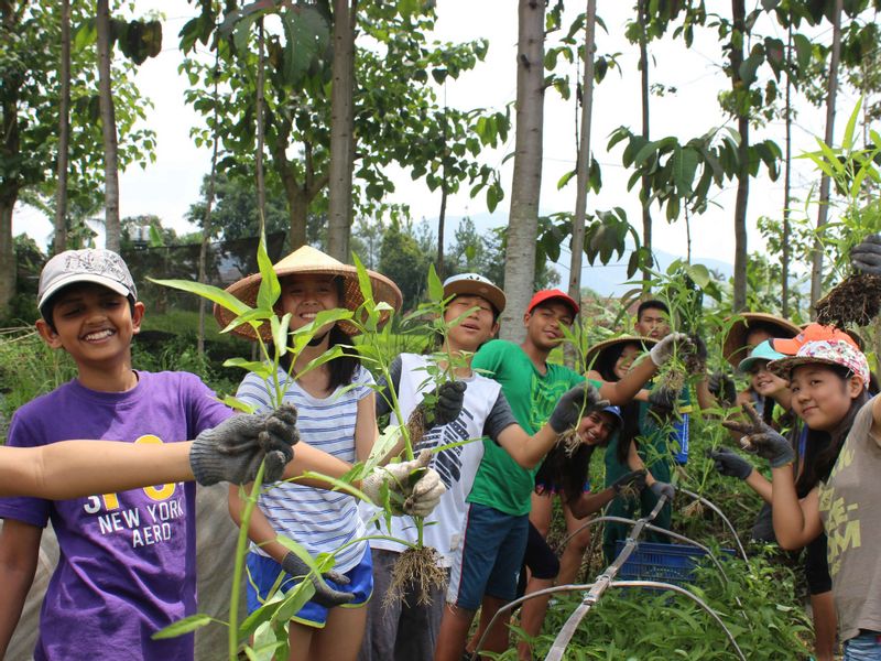 West Java Private Tour - Harvesting 