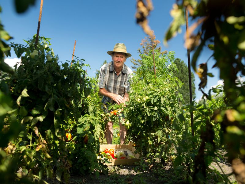 West Java Private Tour - Farmer