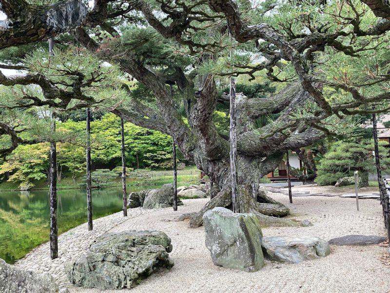 Kagawa Private Tour - Ritsurin Garden boats of magnificent pine trees.