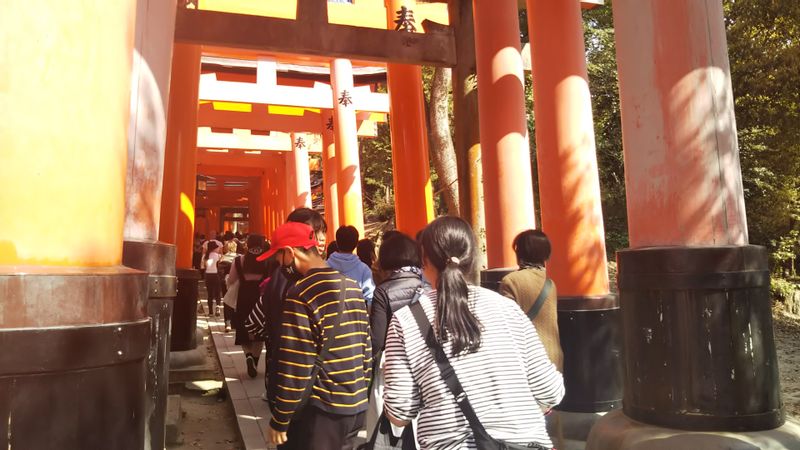 Kyoto Private Tour - This picture shows the 1,000 red torii gates while the visitors are presently going through them.