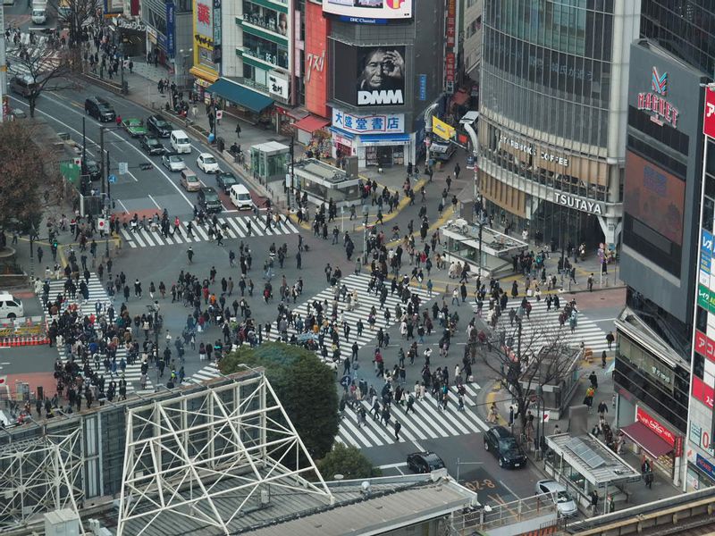 Tokyo Private Tour - Shibuya Crossing.  The world's busiest crossing is located infront of Shibuya station 