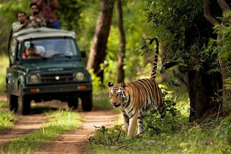 Kathmandu Private Tour - Chitwan National Park: An Enchanting Wilderness of Biodiversity and Thrilling Wildlife Encounters.