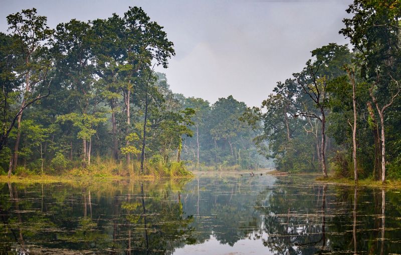 Kathmandu Private Tour - Chitwan National Park: An Enchanting Wilderness of Biodiversity and Thrilling Wildlife Encounters.