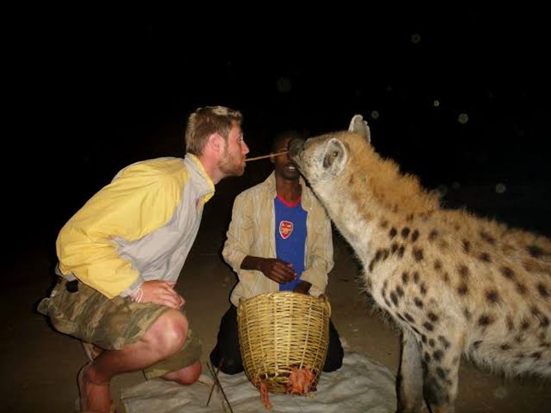 Addis Ababa Private Tour - hyena feeding