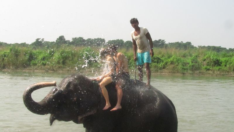 Kathmandu Private Tour - Thrilling Elephant Safari: Discover Chitwan's Wild Side from Above