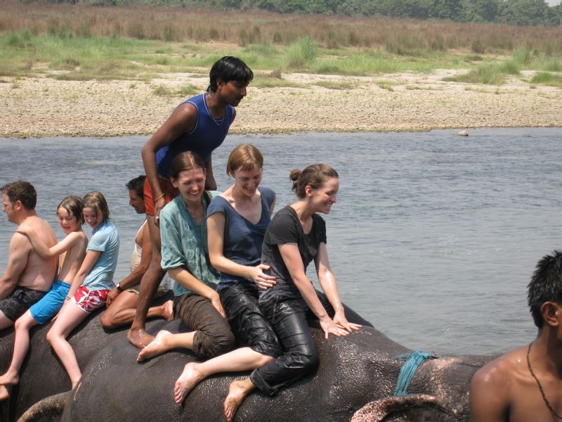 Kathmandu Private Tour - Embark on a Majestic Elephant Ride: Explore the Enchanting Wilderness of Chitwan National Park from the Back of Gentle Giants.