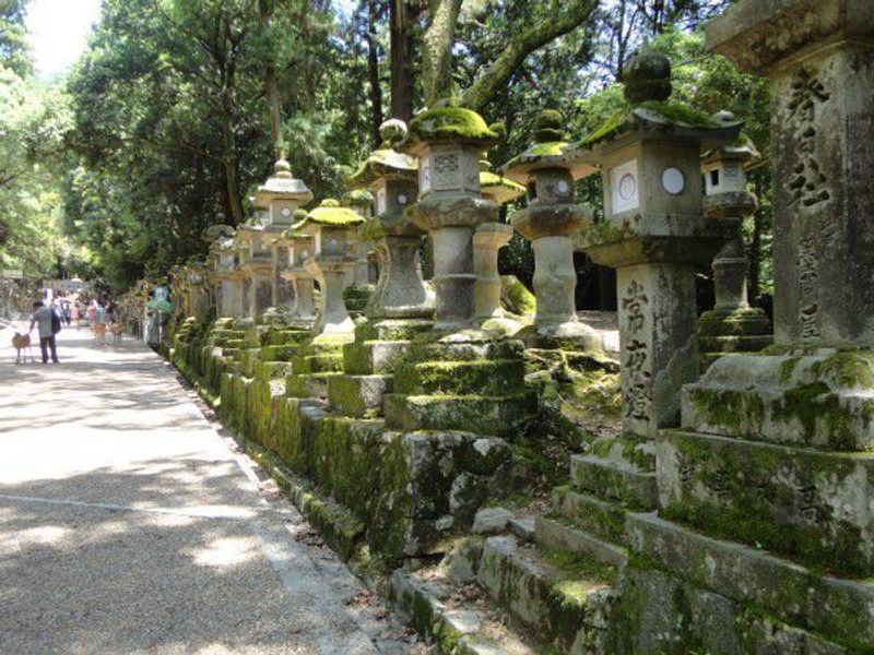 Kyoto Private Tour - The approach to Kasuga Great Shrine lined with stone lanterns 