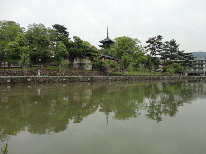 Kyoto Private Tour - Five Story Pagoda at Kofukuji Temple is reflected on Sarusawa Pond.