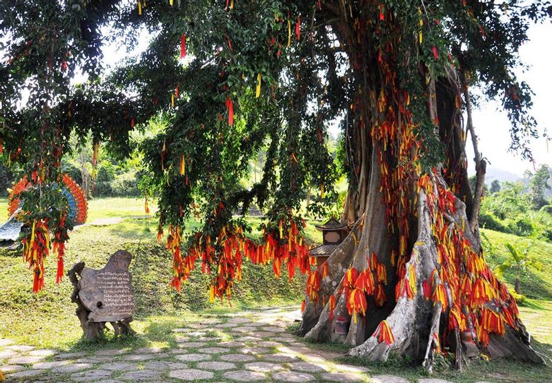 Nha Trang Private Tour - God tree