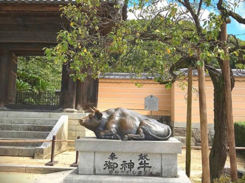 Fukuoka Private Tour - The statue of Bull at Dazaifu Tenmangu Shrine.