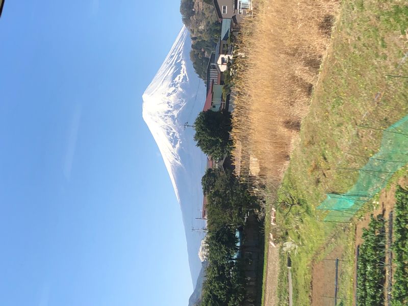 Tokyo Private Tour - Elegant view of Mount Fuji from the train window