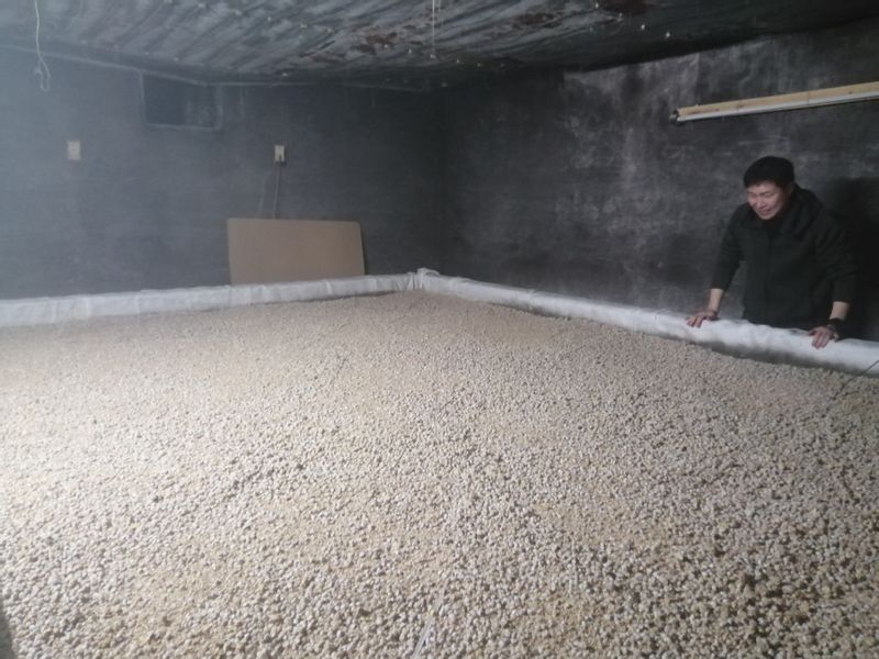 Tokushima Private Tour - Fermentation process of soy sauce malt