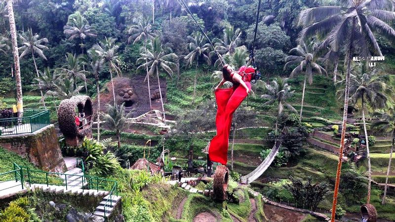 Bali Private Tour - Bali Swing