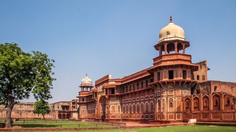 Delhi Private Tour - Fort