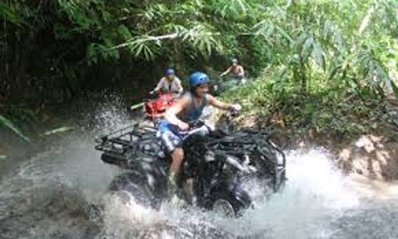 Bali Private Tour - null