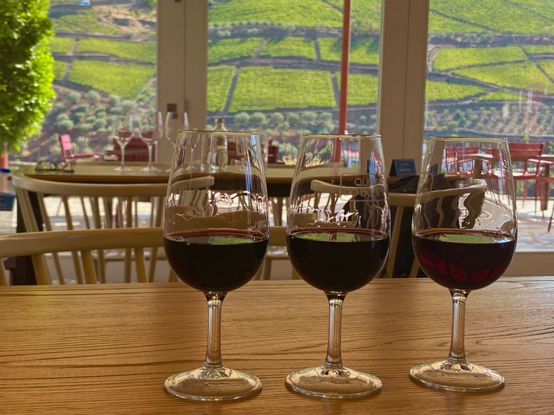 Porto Private Tour - Port wine tasting