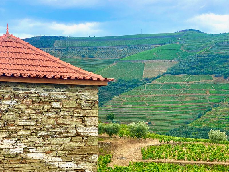 Porto Private Tour - Douro mountains and traditional house